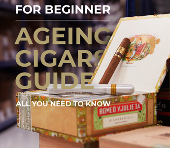 Ageing cigars Guide for beginner | All you need to know