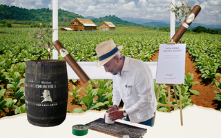 Journey from Seed to Shelf Unveiling the Magic Behind Davidoff Cigars