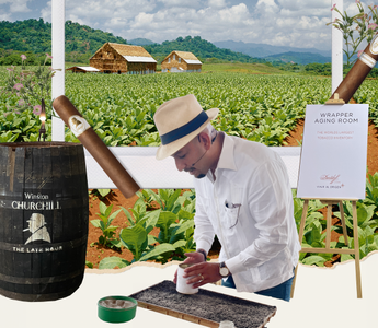 Journey from Seed to Shelf Unveiling the Magic Behind Davidoff Cigars