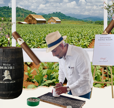 Journey from Seed to Shelf Unveiling the Magic Behind Davidoff Cigars