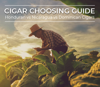 Cigar Choosing Guide： Honduran vs Nicaragua vs Dominican Cigars