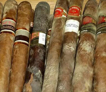 Tips For Preventing Cigar Mould