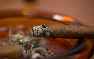 5 Essential Cigar Fixes You Need to Know