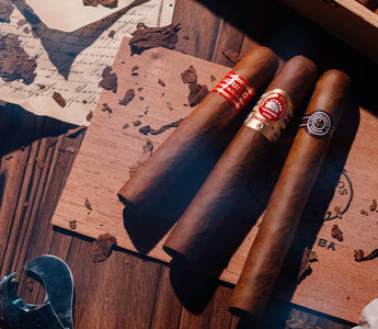 Vintage Cigars: A Collector's Guide.  Exploring the world of rare and valuable aged cigars.