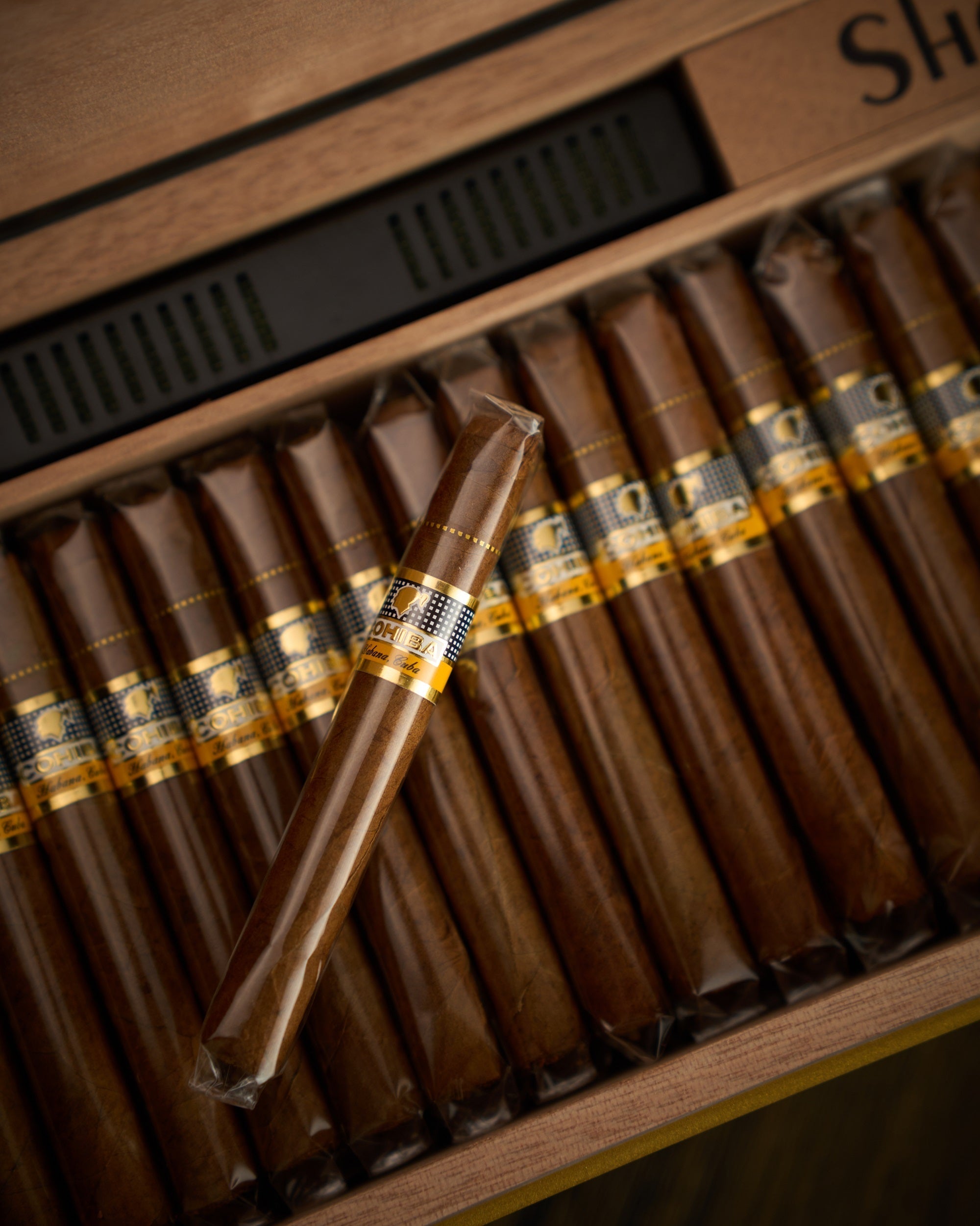 Cohiba Short "Year of the Dragon" Limited Edition