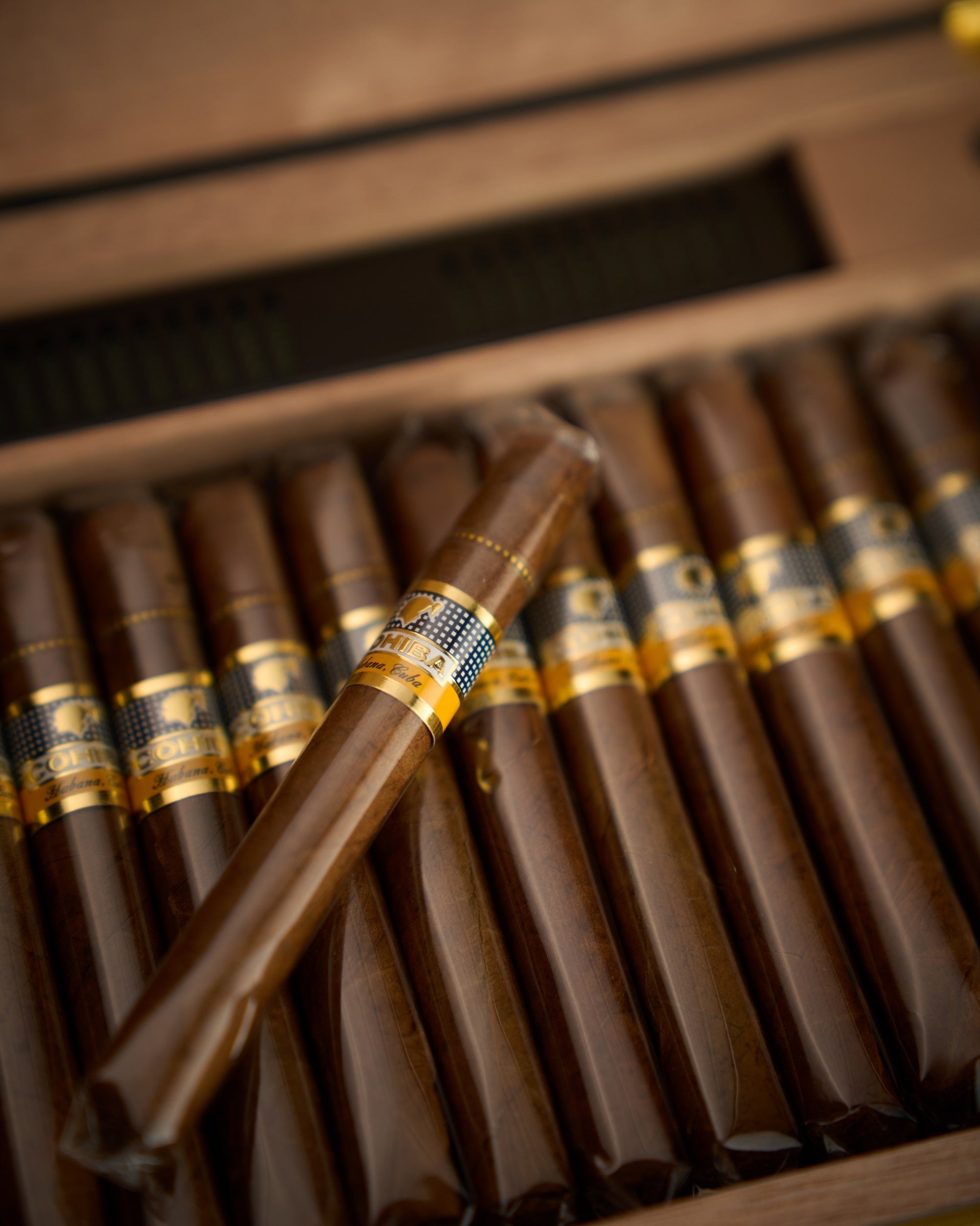 Cohiba Short "Year of the Dragon" Limited Edition