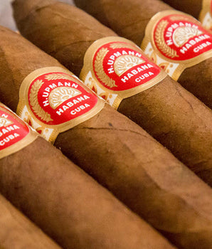 H. Upmann No. 2