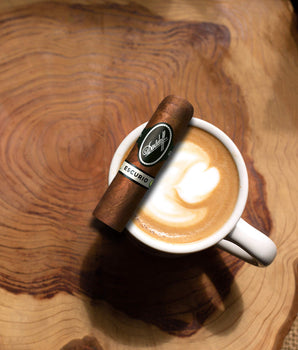 Davidoff Escurio Petit Robusto