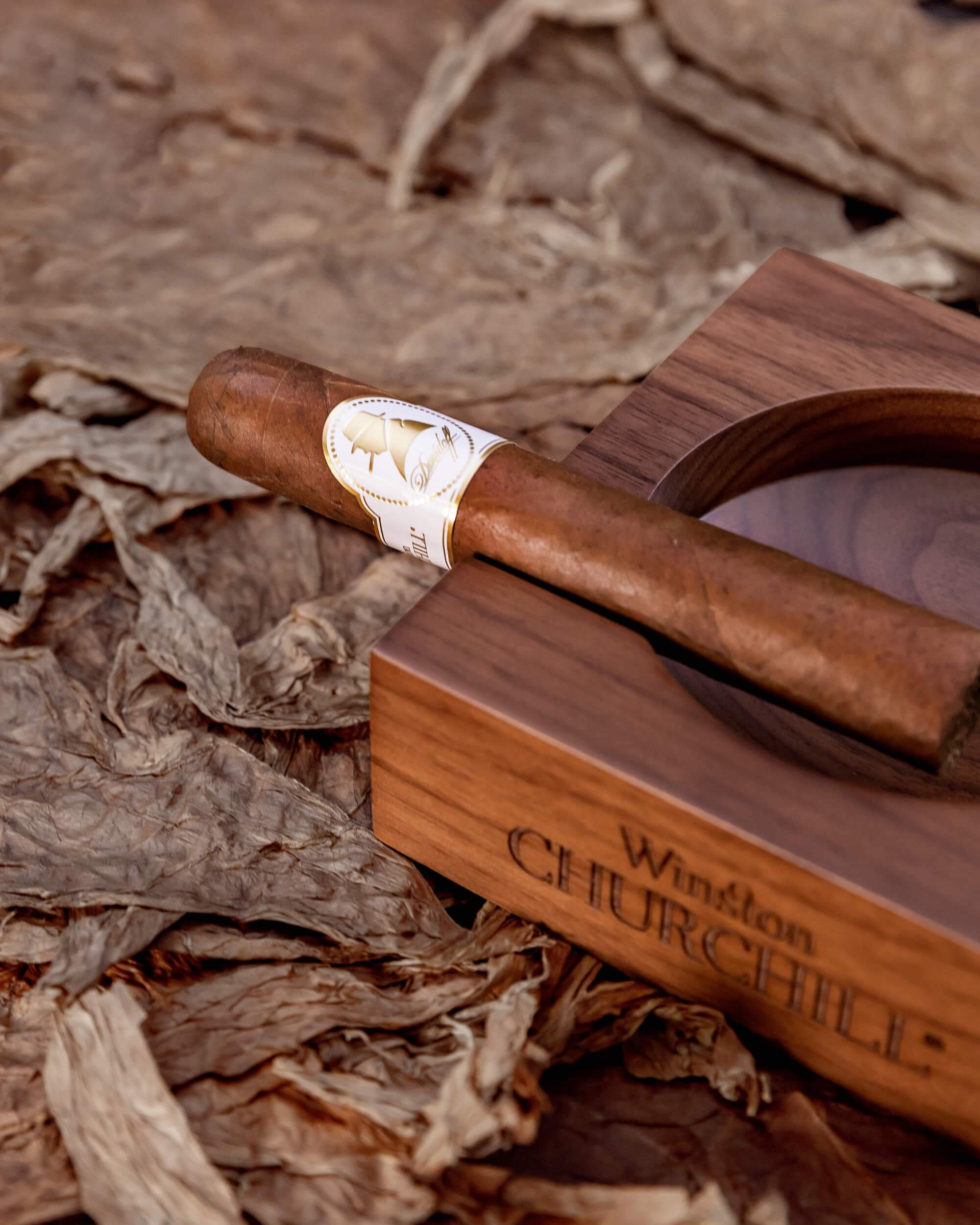 Davidoff Winston Churchill Robusto