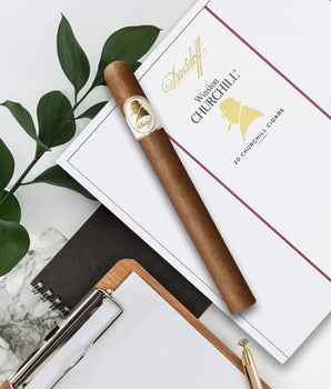 Davidoff Winston Churchill Churchill