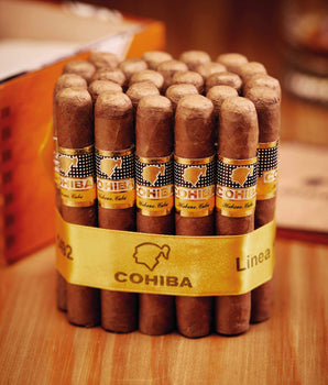 Cohiba Siglo I