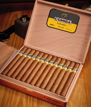 Cohiba Espl??ndidos