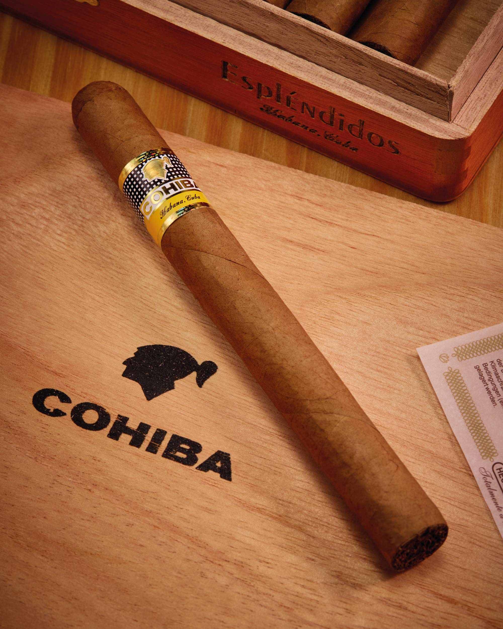 Cohiba Espl??ndidos