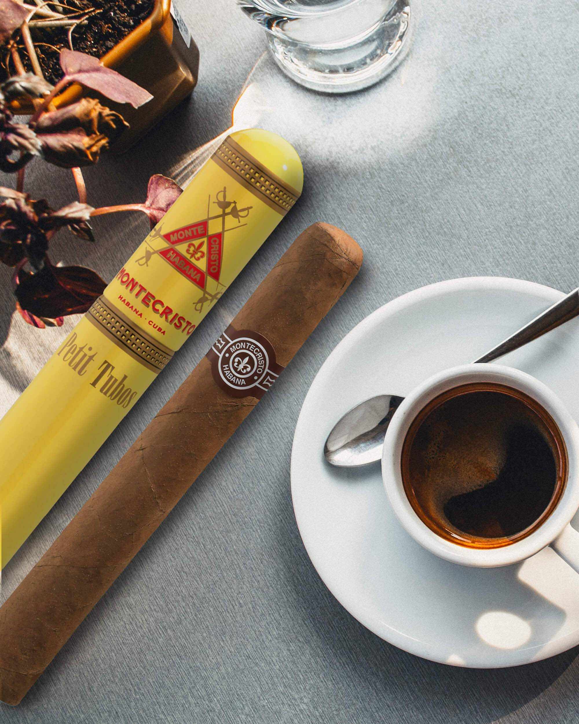 Montecristo Petit Tubos