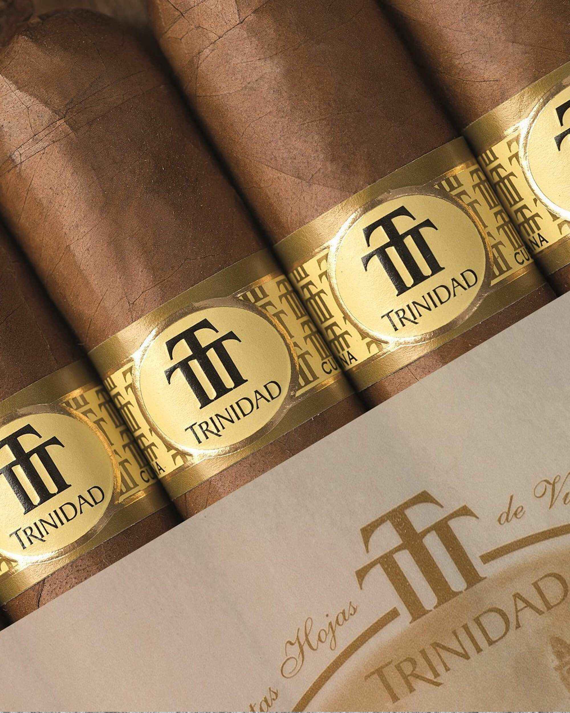 Trinidad Vigia