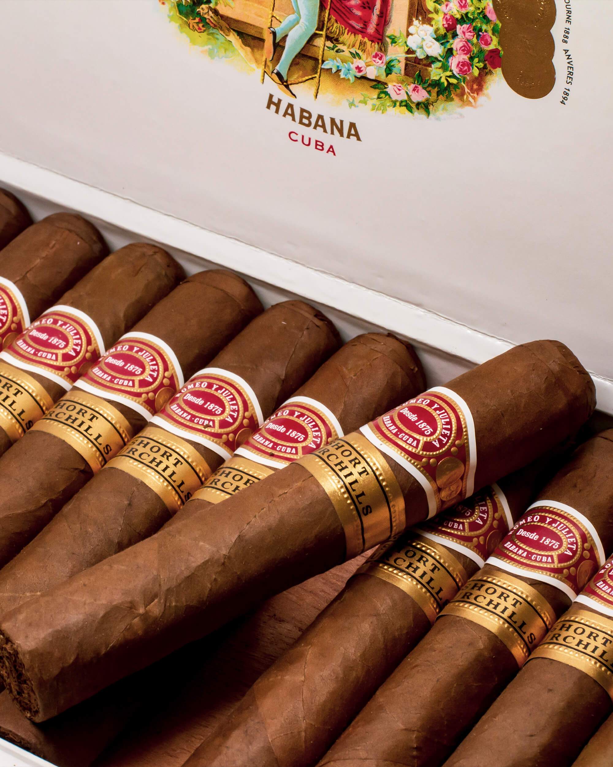 Romeo y Julieta Short Churchills