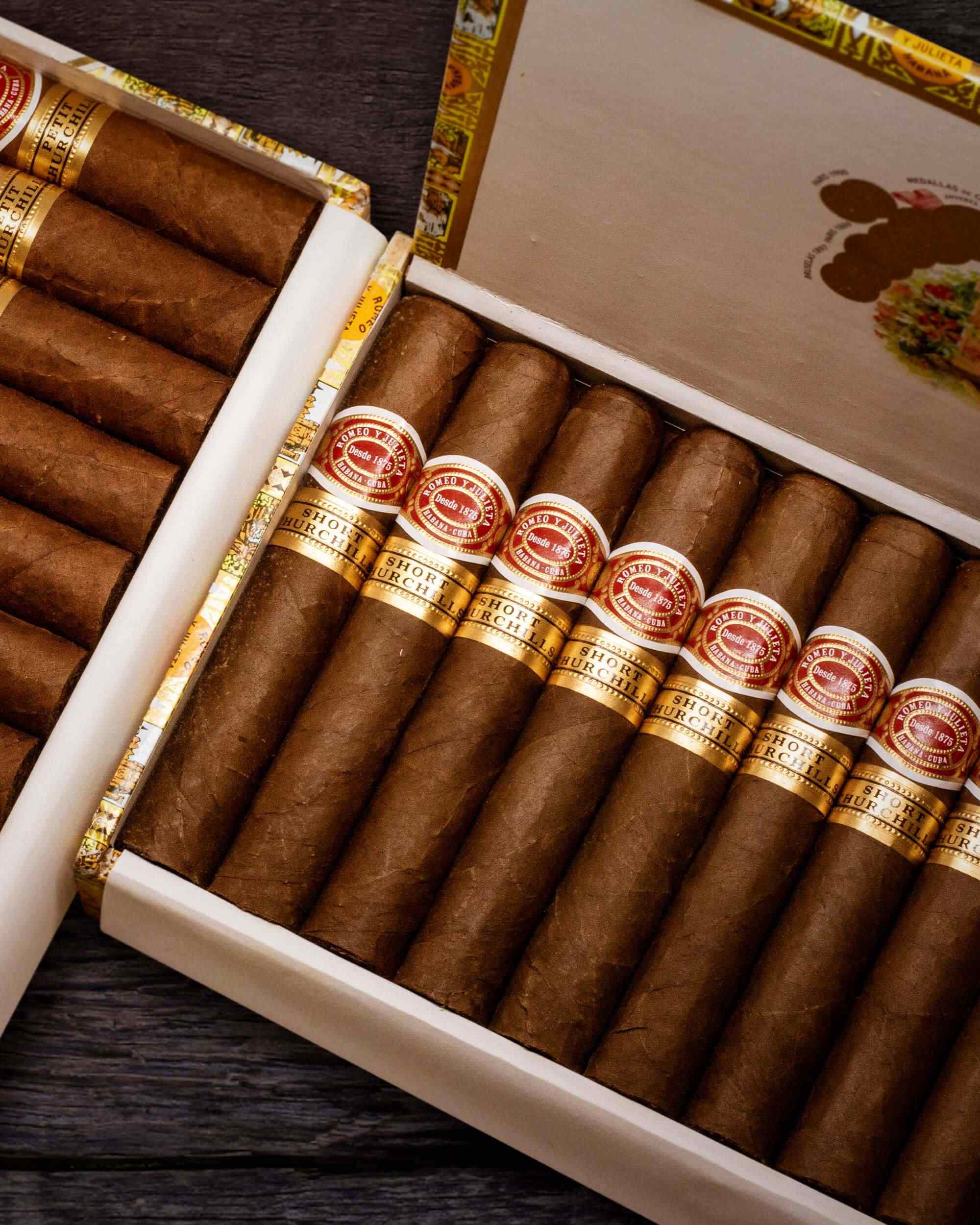 Romeo y Julieta Short Churchills