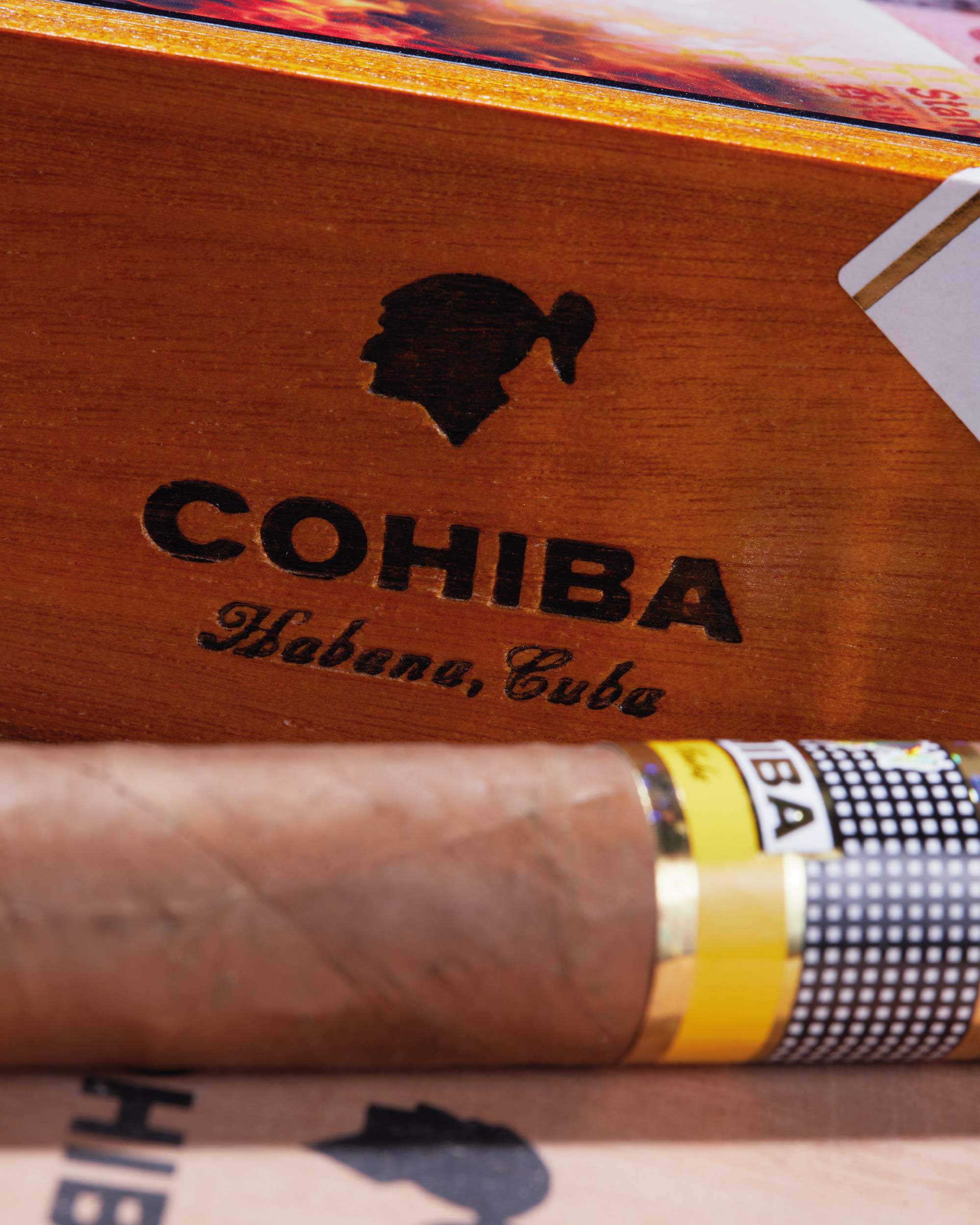 Cohiba Siglo VI