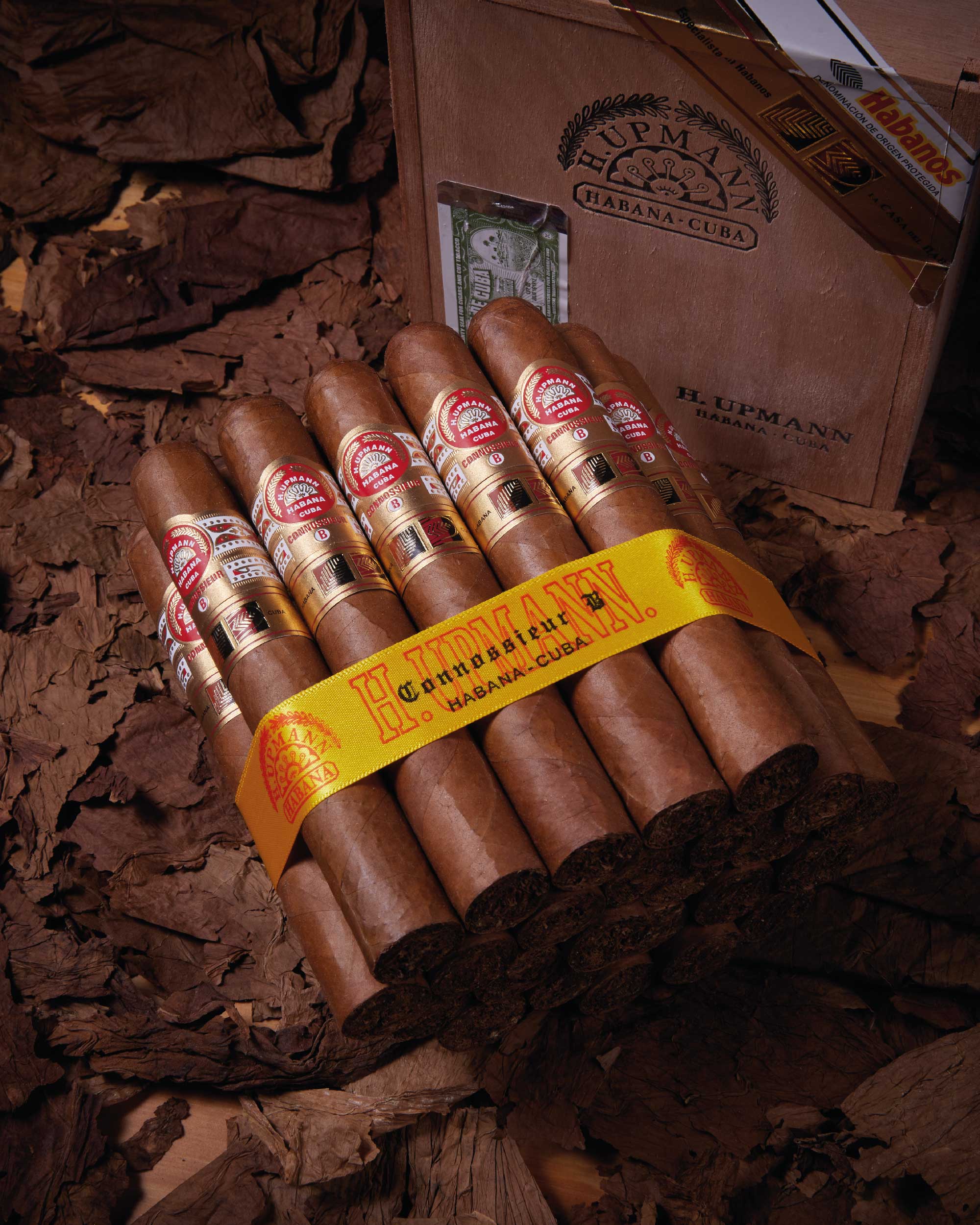 H. Upmann Connossieur B LCDH