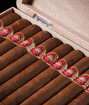 H. Upmann Sir Winston