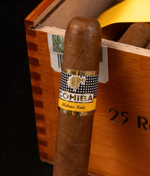 Cohiba Robustos