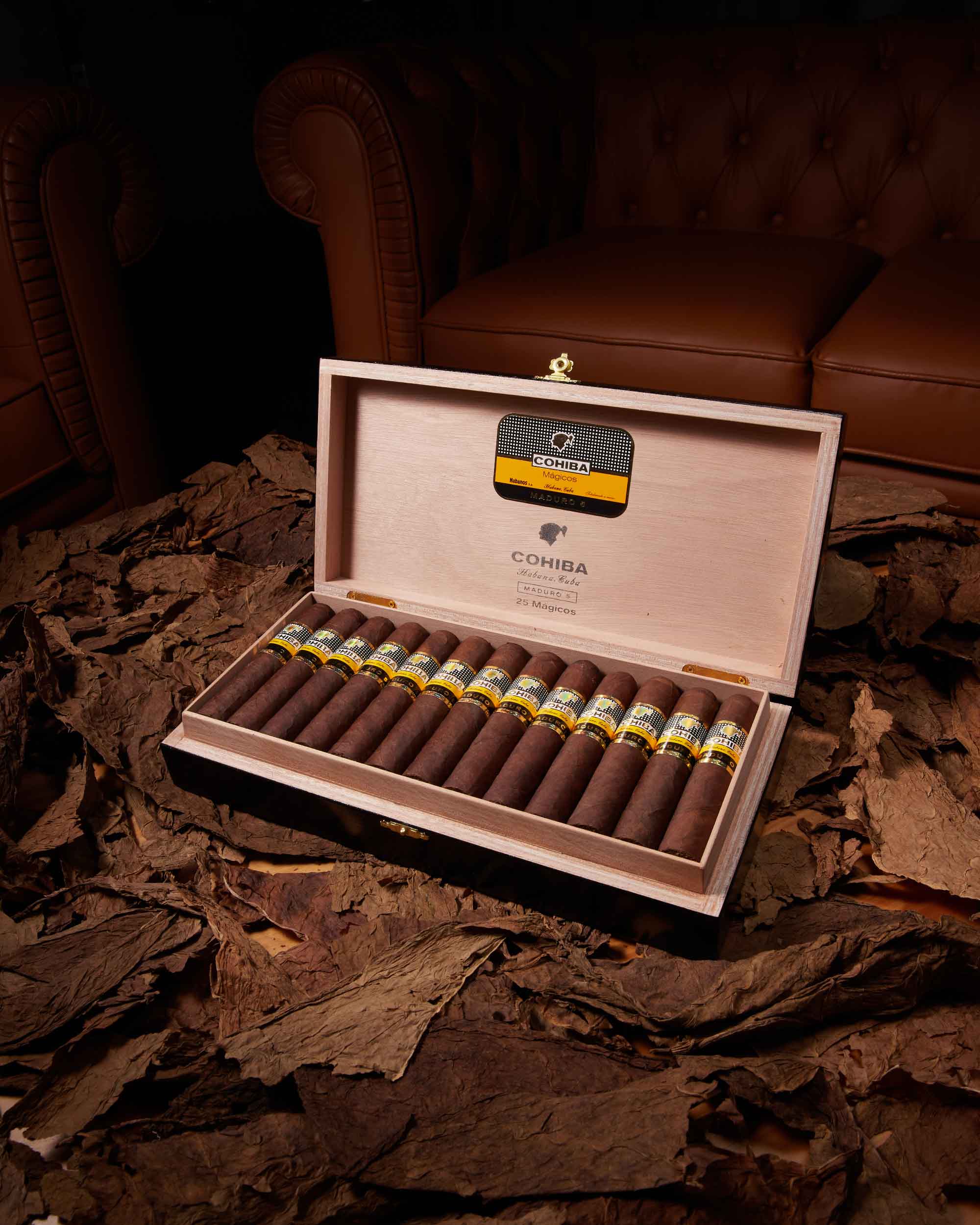 Cohiba Magicos Maduro 5