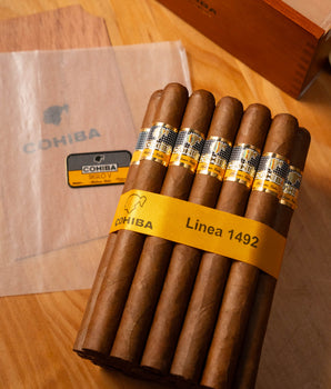 Cohiba Siglo V