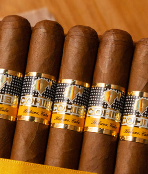 Cohiba Siglo V