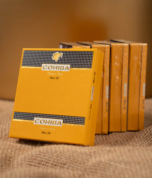 Cohiba Mini Cigarillos