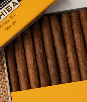 Cohiba Mini Cigarillos