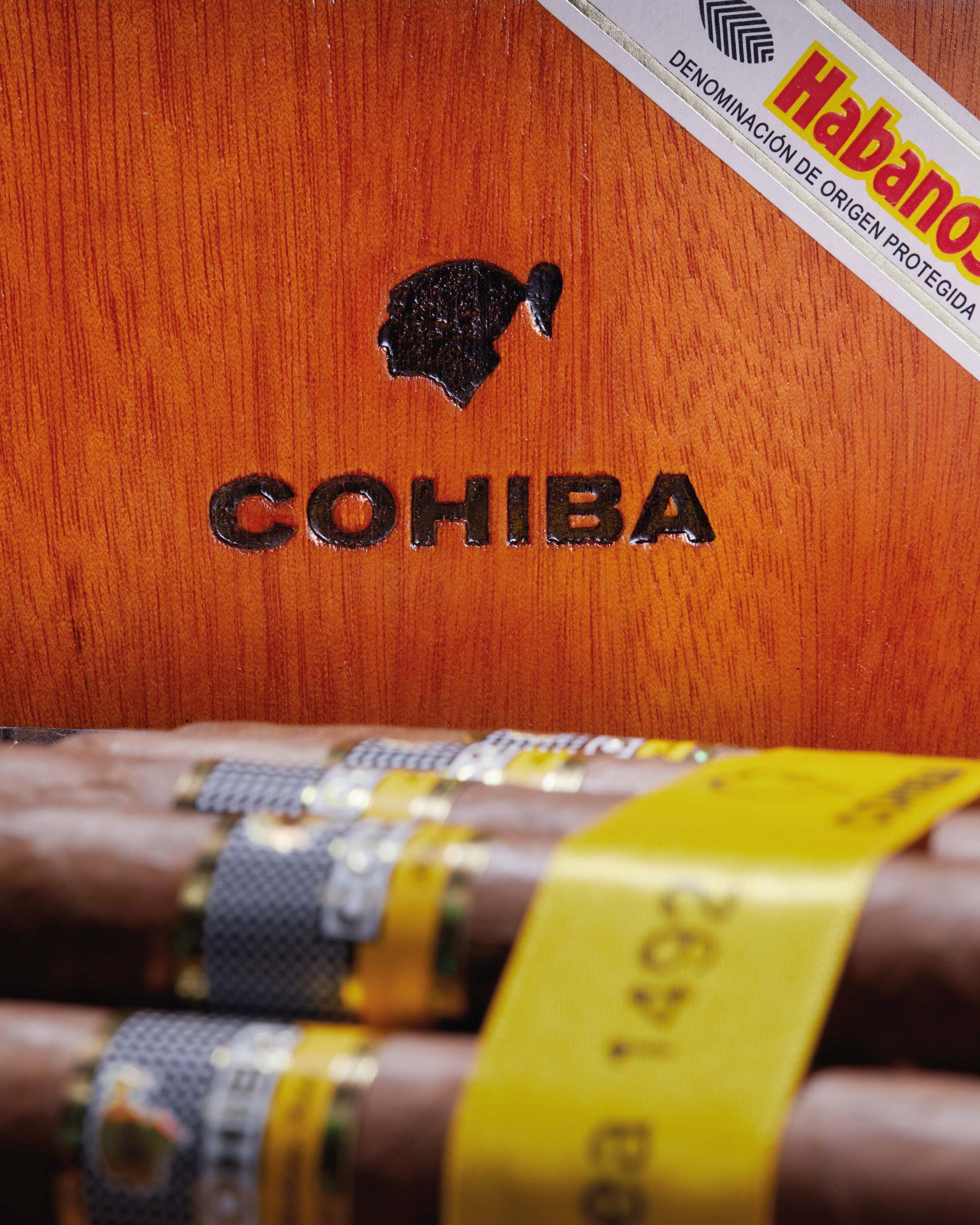 Cohiba Siglo VI (2019 Vintage) - nextCIGAR