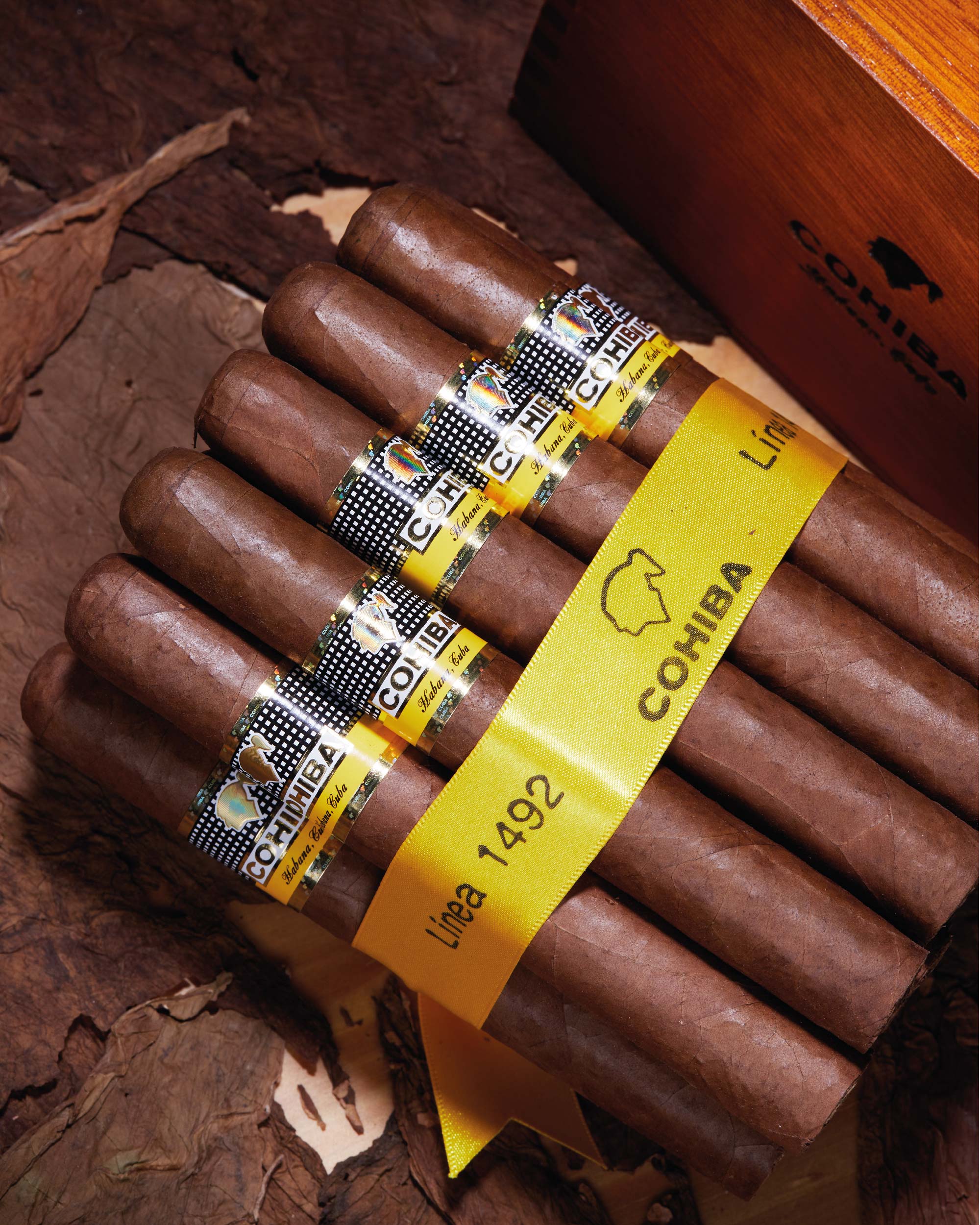 Cohiba Siglo VI (2019 Vintage) - nextCIGAR