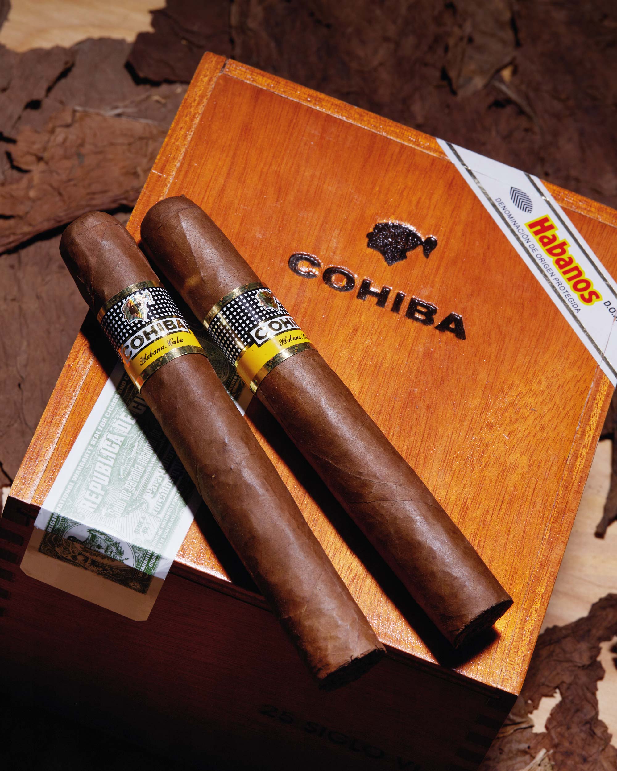 Cohiba Siglo VI (2019 Vintage) - nextCIGAR