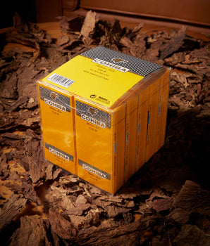 Cohiba Club Cigarillos