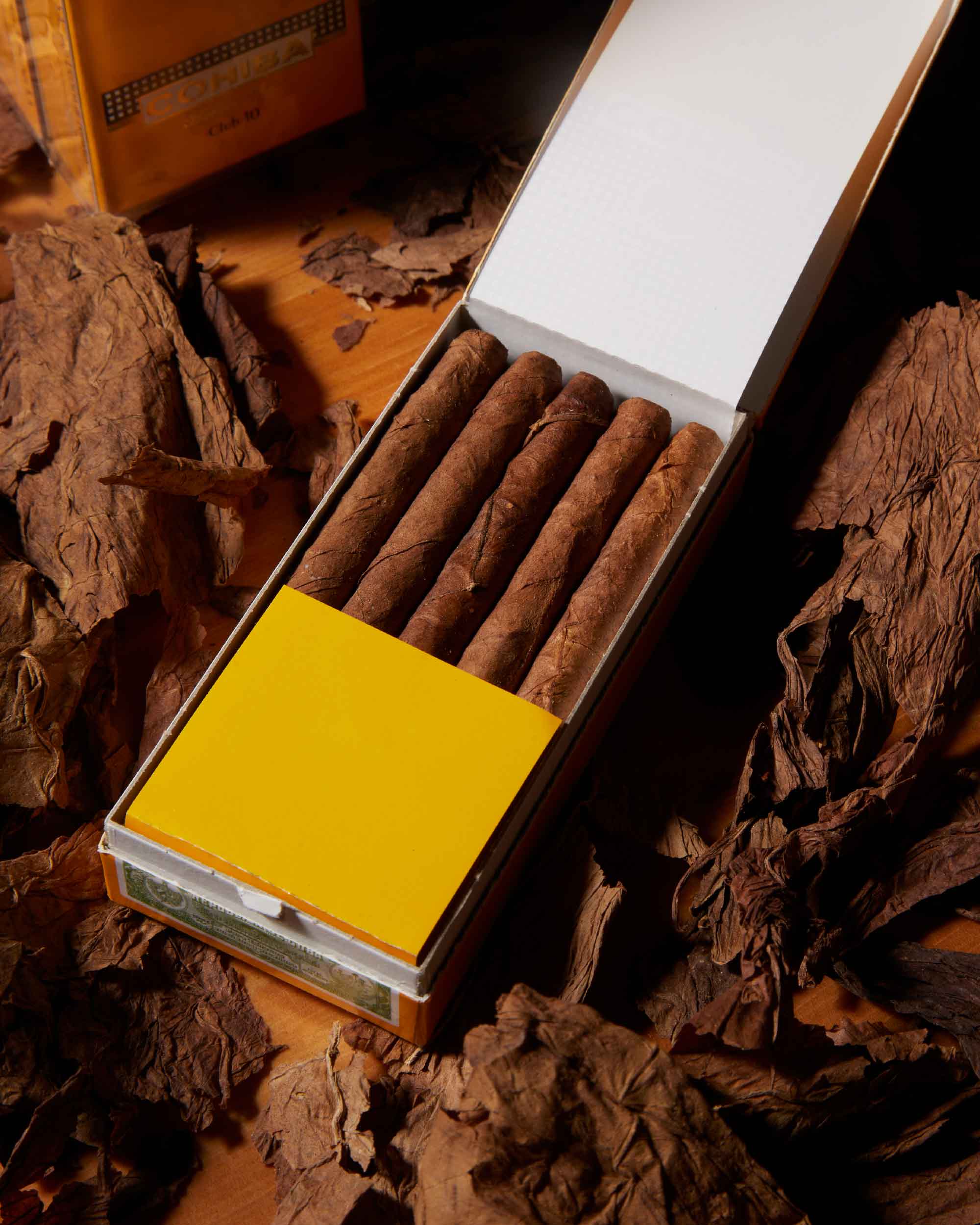 Cohiba Club Cigarillos