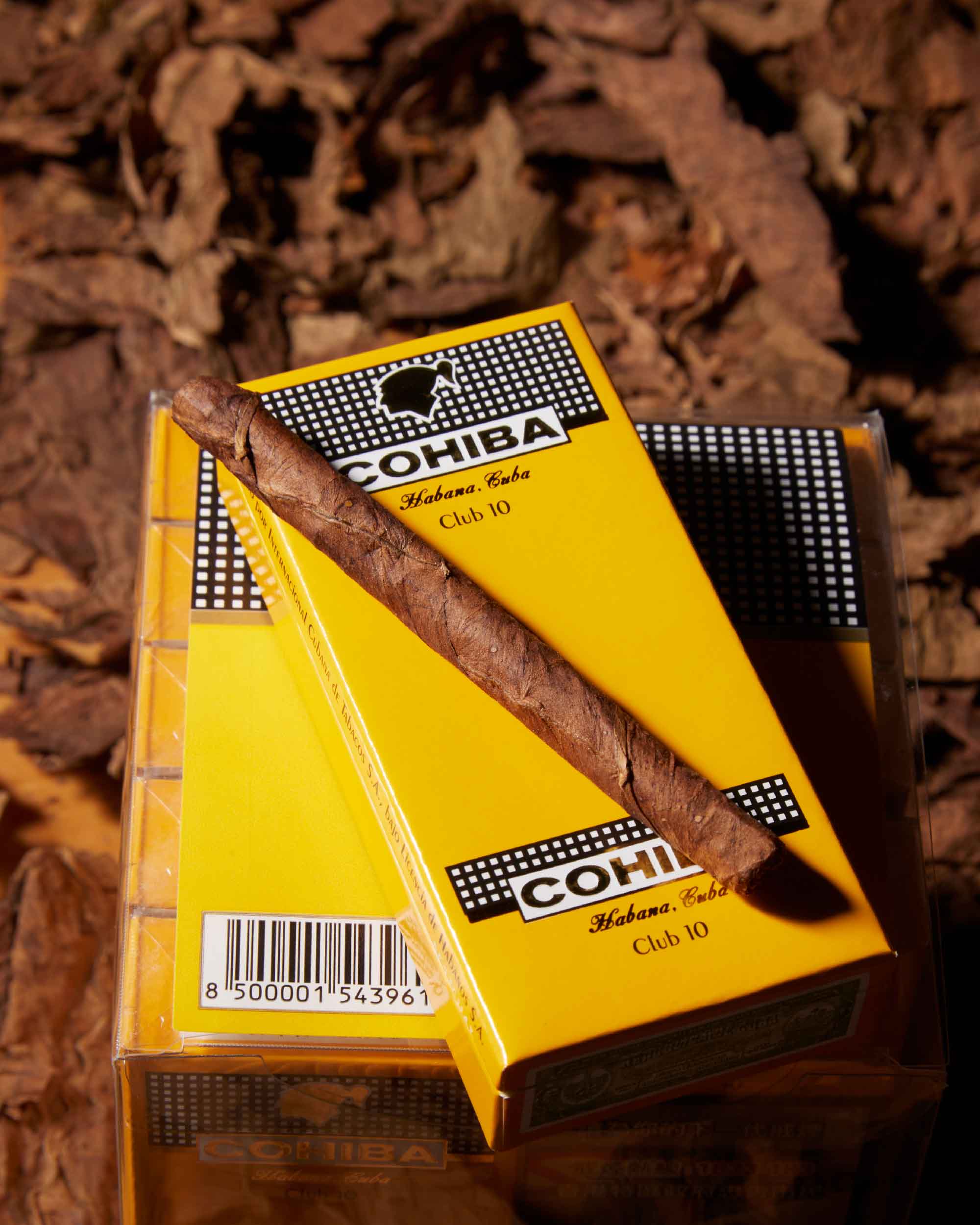 Cohiba Club Cigarillos