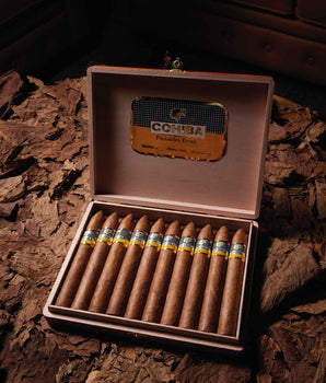 Cohiba Piramides Extra