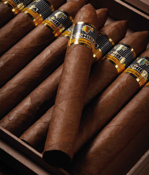 Cohiba Piramides Extra