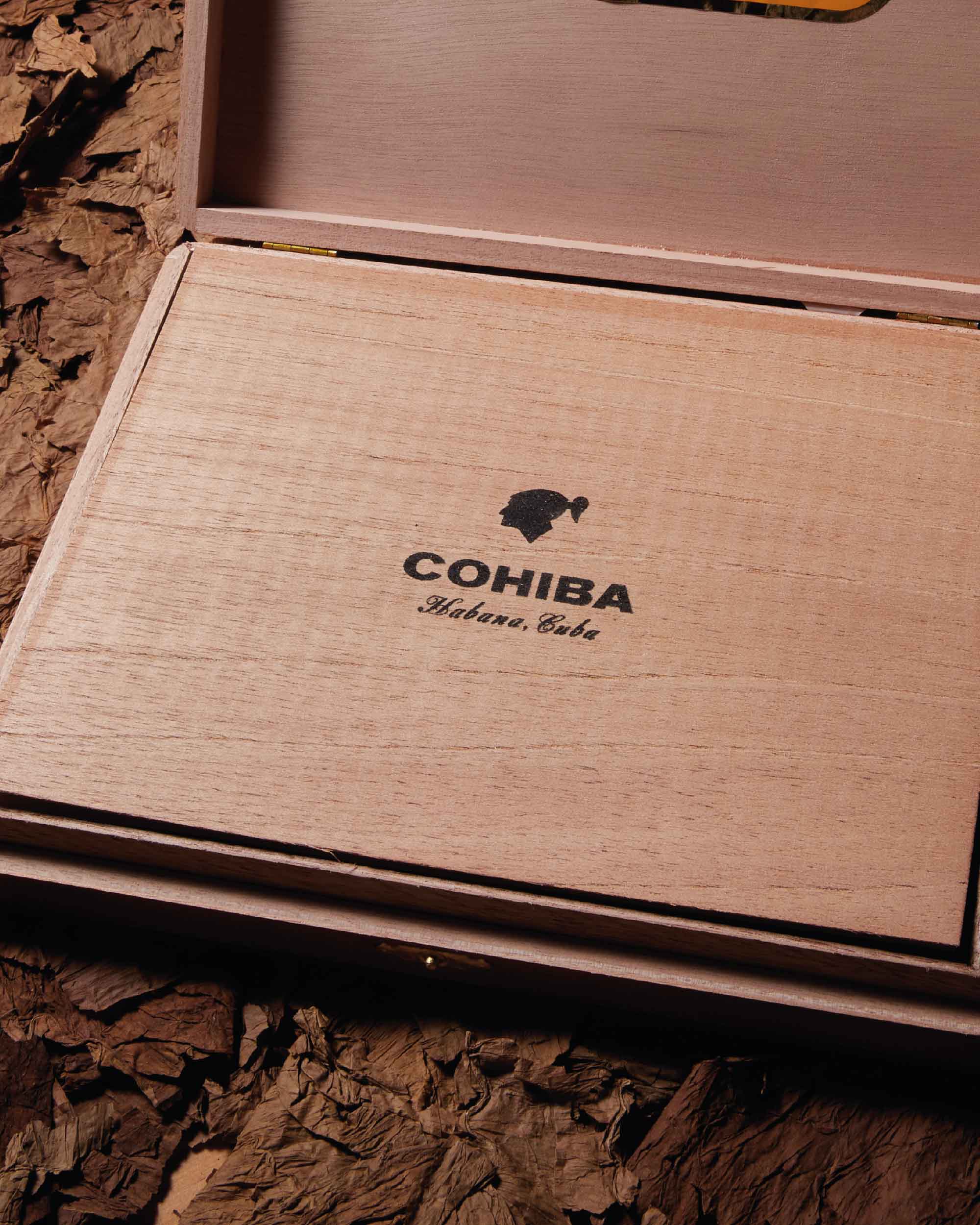 Cohiba Piramides Extra