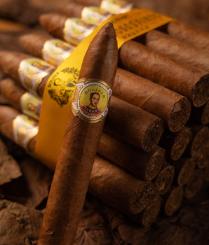 Bolívar Belicoso Finos