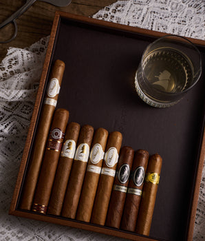 The Diplomat's Selection - nextCIGAR