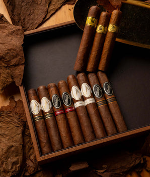 Trinidad x Davidoff Proficient Bundle