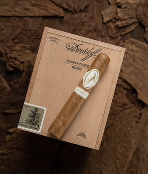 Davidoff Signature 6000