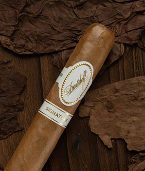 Davidoff Signature 6000