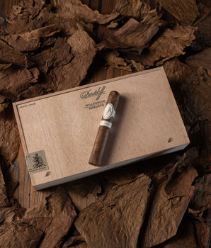 Davidoff Millennium Robusto