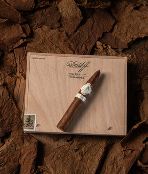 Davidoff Millennium Pirámides