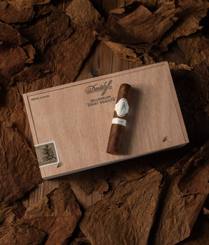 Davidoff Millennium Short Robusto