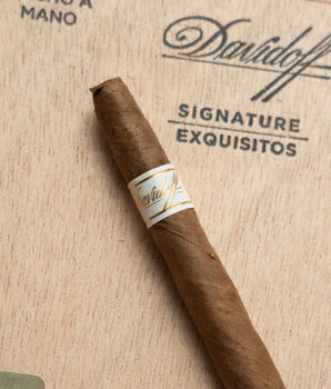 Davidoff Signature Exquisitos