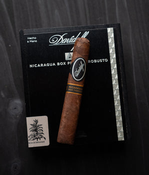 Davidoff Nicaragua Box-Pressed Robusto