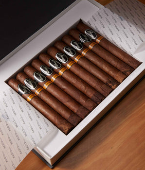 Davidoff Nicaragua Robusto Cigar Bundle (Uncut)